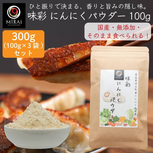 にんにくパウダー 無添加 にんにく粉末 にんにく 味彩 にんにくパウダー 300g (100g×3袋) (青森県田子町産) 国産