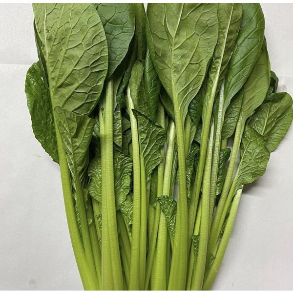 過去に野菜詰め合わせセットでも販売しておりました小松菜を再販します。こちらはリピートのお客様がとても多い商品でもありました。一度サラダで食べたらその美味しさと食べやすさがわかります。ほうれん草と同じ特殊な農法で栽培しております。嫌なえぐみが...