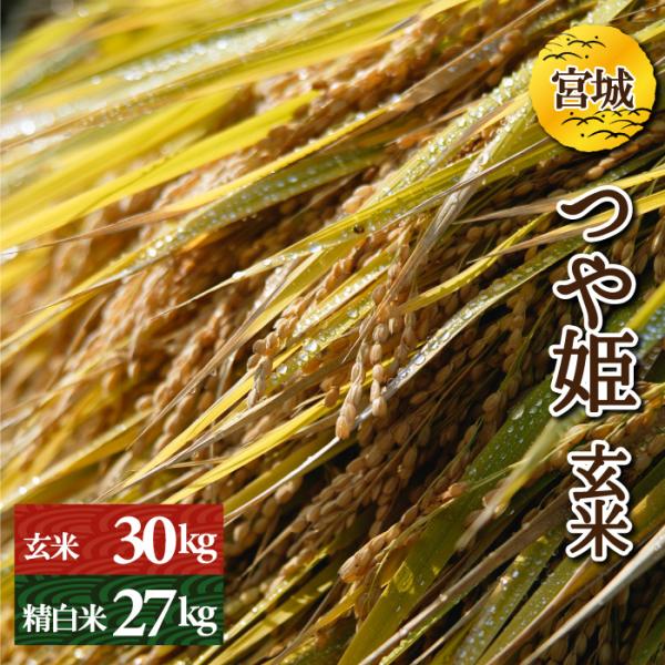 宮城県産 つや姫の人気商品 通販 価格比較 価格 Com