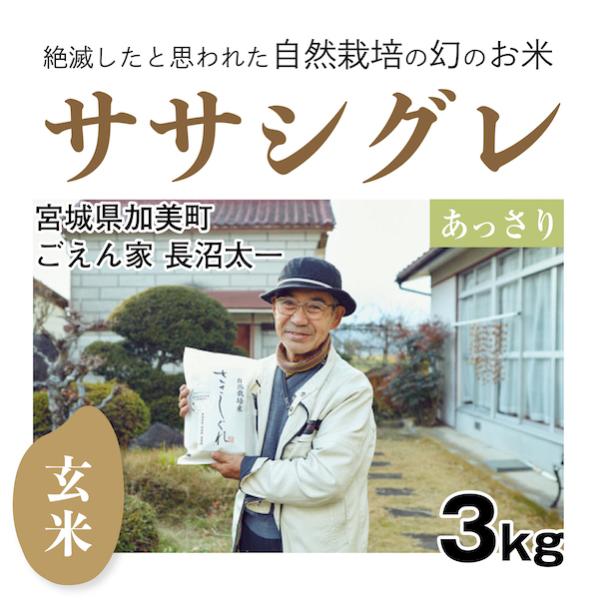 【自然栽培のお米】玄米3kg「ササシグレ」(宮城県)ごえん家 長沼太一さん  米　お米　無施肥　自然栽培　