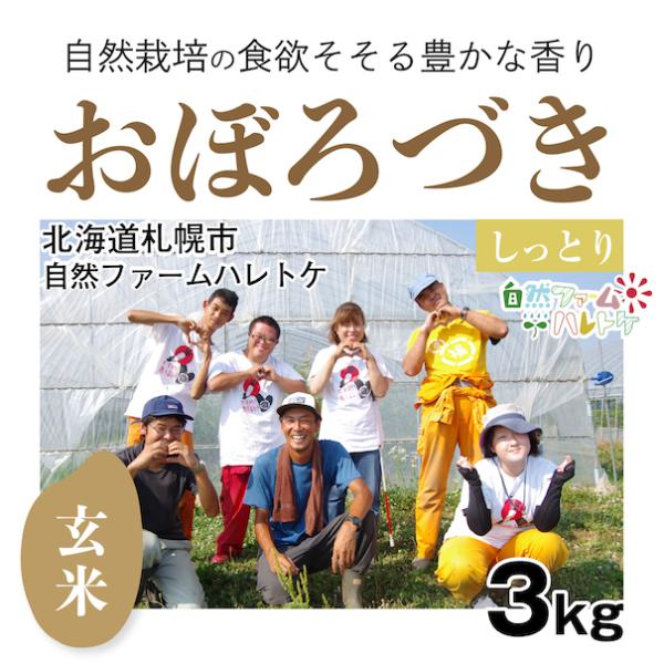 【自然栽培のお米】玄米3kg「おぼろづき」(北海道)自然ファームハレトケ　米　お米　無施肥　自然栽培　