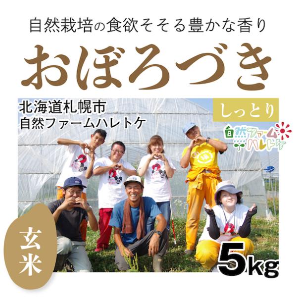 【自然栽培のお米】玄米5kg「おぼろづき」(北海道)自然ファームハレトケ　米　お米　無施肥　自然栽培　