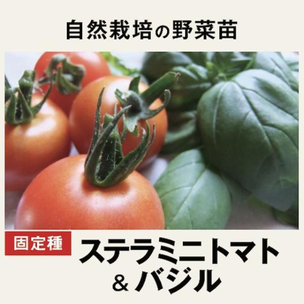 自然栽培のミニトマト バジル ２鉢 ２鉢 野菜苗 北海道 自然ファームハレトケ 114 P03 木村秋則 自然栽培の仲間たち 通販 Yahoo ショッピング