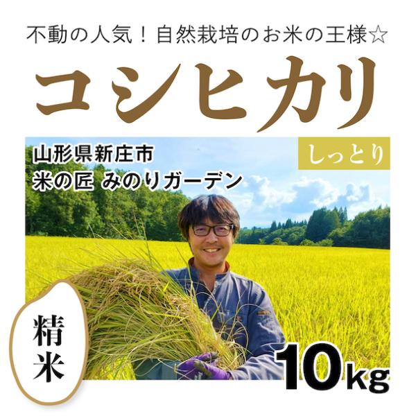 令和5年 亀の尾10kg（5kg×2）玄米 自然栽培米 掛け干し米 - 米・雑穀・粉類