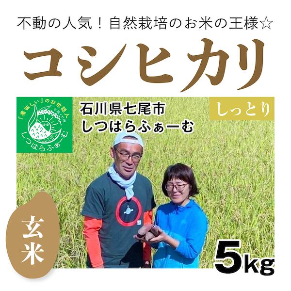 【自然栽培のお米】玄米5kg「コシヒカリ」(石川県七尾市)しつはらふぁーむ　自然栽培＠のと　米　お米　無施肥　自然栽培