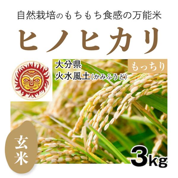 【自然栽培のお米】玄米3kg「ヒノヒカリ」(大分県)火水風土（かみふうど）　米　お米　無施肥　自然栽培　
