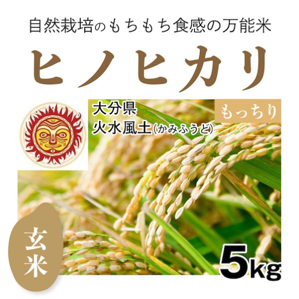 【自然栽培のお米】玄米5kg「ヒノヒカリ」(大分県)火水風土（かみふうど）　米　お米　無施肥　自然栽培　