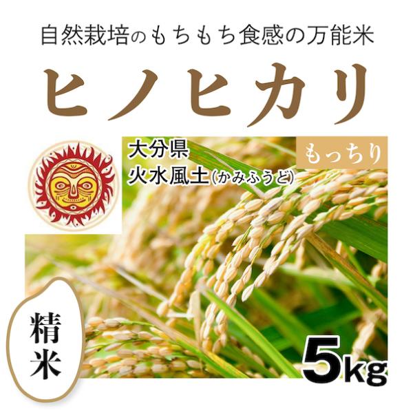 ヒノヒカリ 【自然栽培のお米】精米5kg「ヒノヒカリ」(大分県)火水風土