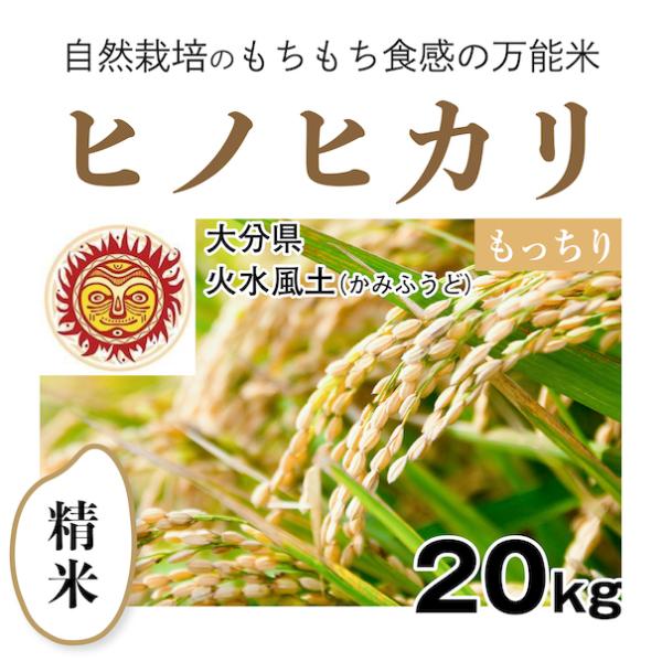 大分県産ヒノヒカリ　20kg ヒノヒカリ 【自然栽培のお米】精米20kg「ヒノヒカリ」(大分県)火水
