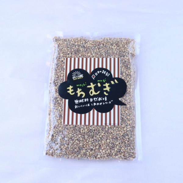 もちむぎ　200g　自然栽培　千葉県　1000円以下