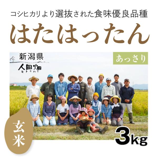 【自然栽培のお米】玄米3kg「はたはったん」(新潟県)人田畑(ひとたはた)　米　お米　無施肥　自然栽培　