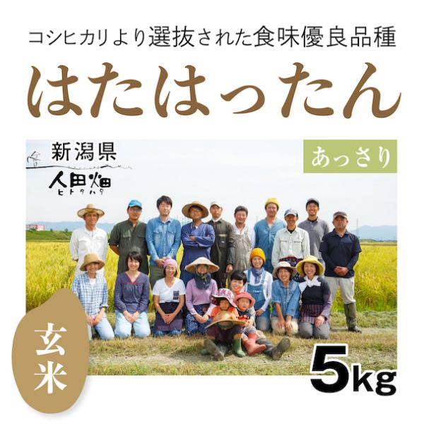 【自然栽培のお米】玄米5kg「はたはったん」(新潟県)人田畑(ひとたはた)　米　お米　無施肥　自然栽培　