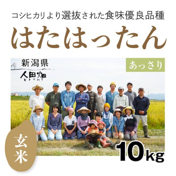 【自然栽培のお米】玄米10kg「はたはったん」(新潟県)人田畑(ひとたはた)　米　お米　無施肥　自然栽培　