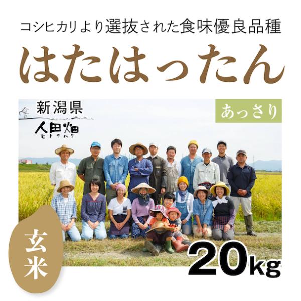 【自然栽培のお米】玄米20kg「はたはったん」(新潟県)人田畑(ひとたはた)　米　お米　無施肥　自然栽培　