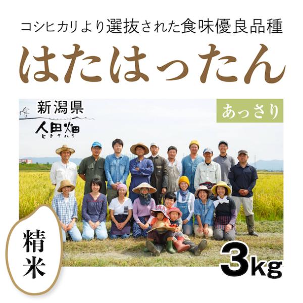 【自然栽培のお米】精米3kg「はたはったん」(新潟県)人田畑(ひとたはた)　米　お米　無施肥　自然栽培　