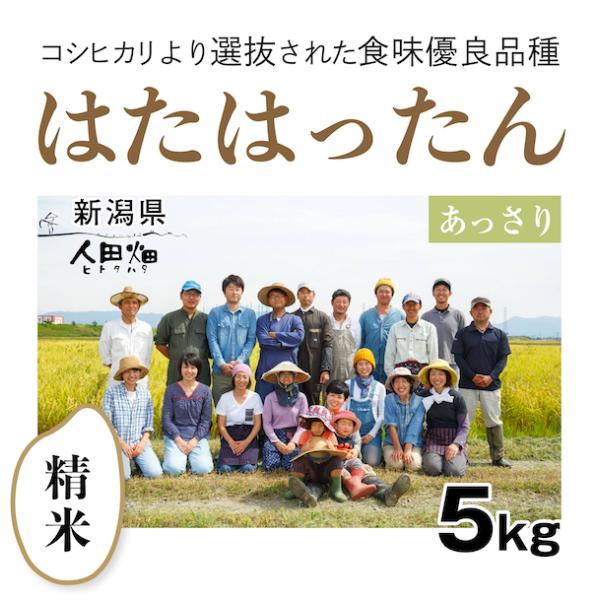 【自然栽培のお米】精米5kg「はたはったん」(新潟県)人田畑(ひとたはた)　米　お米　無施肥　自然栽培　