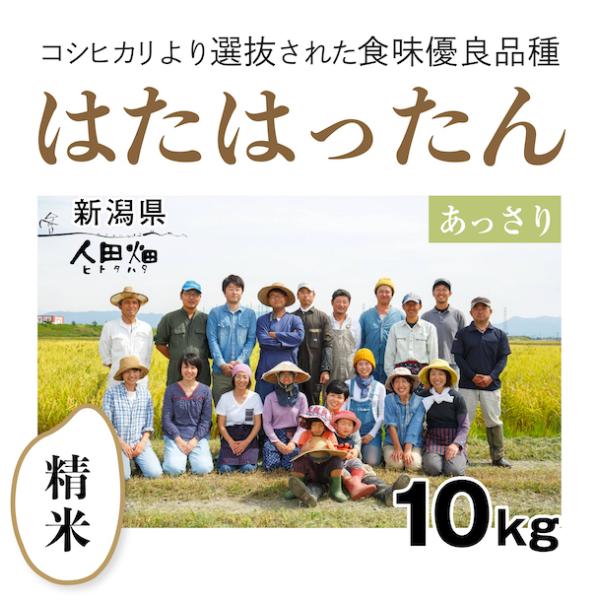 【自然栽培のお米】精米10kg「はたはったん」(新潟県)人田畑(ひとたはた)　米　お米　無施肥　自然栽培　