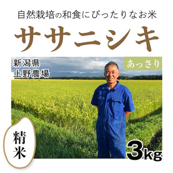 【自然栽培のお米】精米3kg「ササニシキ」(新潟県)上野農場 米　お米　無施肥　自然栽培　