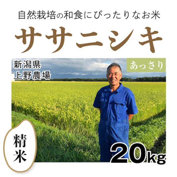 ササニシキ 【自然栽培のお米】精米20kg「ササニシキ」(新潟県)上野