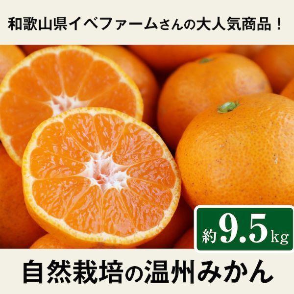 温州みかん 約9 ５kg イベファーム 和歌山県 自然栽培 蔵出しみかん 63 S01 木村秋則 自然栽培の仲間たち 通販 Yahoo ショッピング