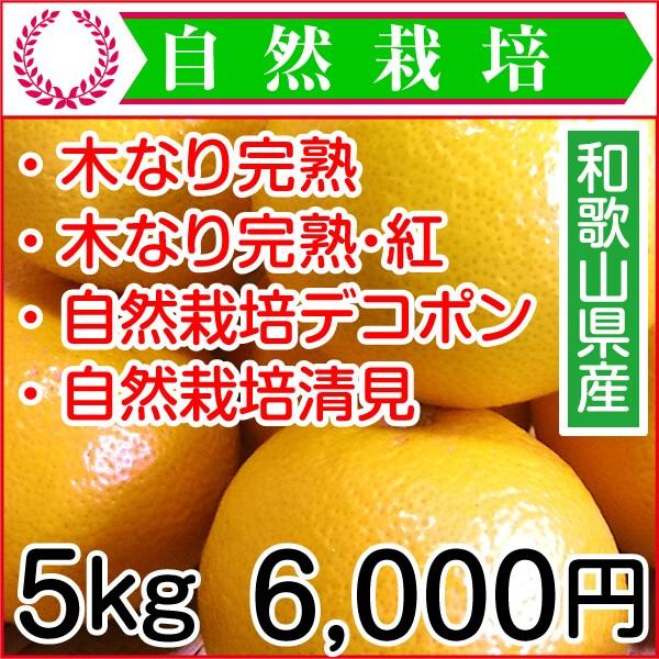 木なり完熟はっさく 木なり完熟紅はっさく デコポン 清見 春の柑橘カルテット 5kg 自然栽培 和歌山県産 産地直送 予約販売 H005 かたやま農園 通販 Yahoo ショッピング