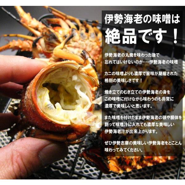 22 お取り寄せ 伊勢海老 本場 伊勢志摩 超特大600g 1尾 活 刺身 訳あり 産地直送 伊勢エビ 冷凍 Mie Ya 04 北区赤羽商店 通販 Yahoo ショッピング