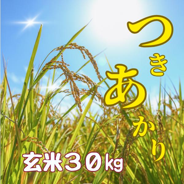 中野商店 令和7年度産 福島県会津産つきあかり 玄米 30kg 送料無料 