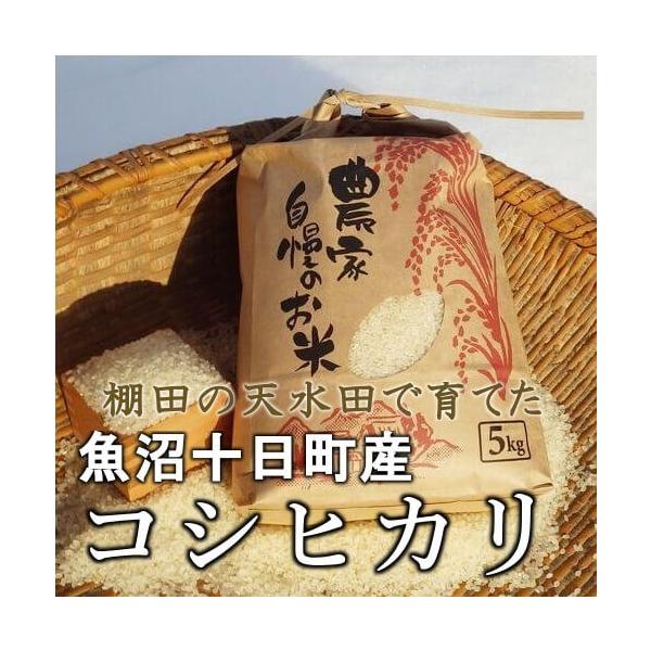 コシヒカリ10キロ(南魚沼産) オフィシャル限定) 最高級南魚沼産こしひかり HIBARI 10kg