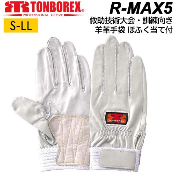 h قӂĕt  g{bNX XL[O[u R-MAX5 rv  Vo[zCg