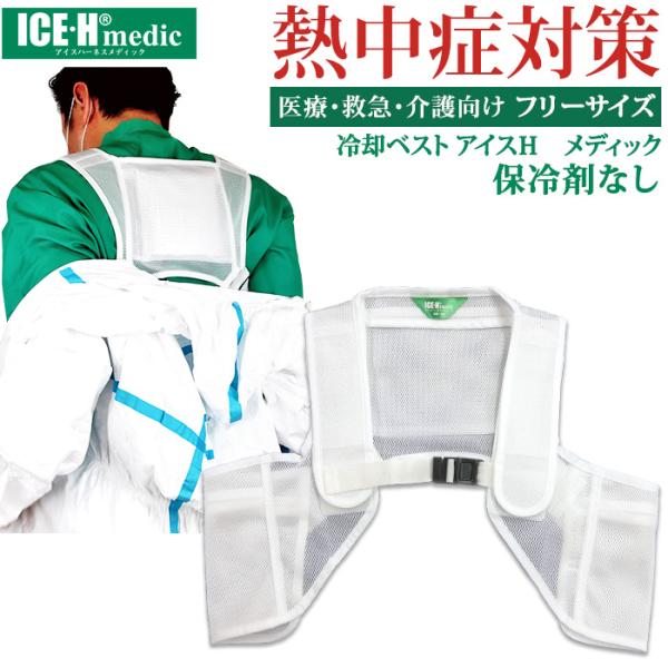 SXLSTCY\ Ì MǑ΍ObY ΍ t[TCY pxXg ACXn[lX fBbN {̂̂/ۗ܂Ȃ