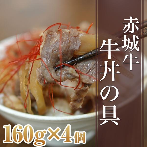 牛肉 加工品 赤城牛 牛丼の具 160gx4個 セット 冷凍 国産牛 牛肉 牛丼