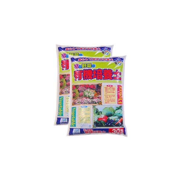 ԂƖ؂̗L@|{y@1@30L×2