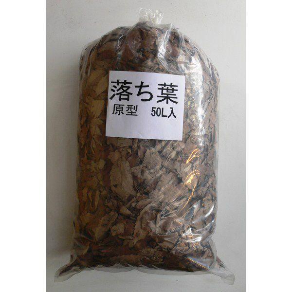落ち葉　50枚 あかぎ園芸 落ち葉 原型【50L】 : 植える花夢 手作り園芸工房 - 通販