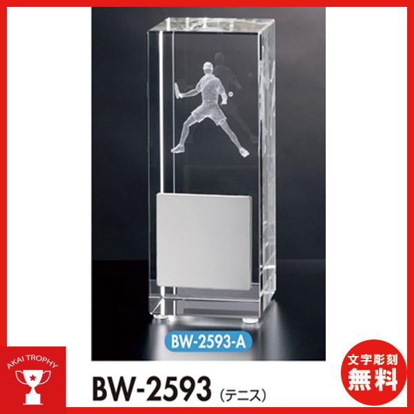 テニス 記念 品の人気商品 通販 価格比較 価格 Com