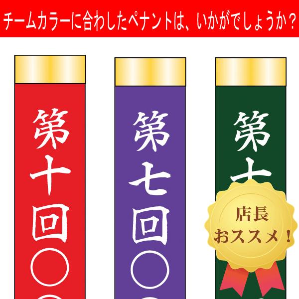 赤井トロフィーペナントリボン トロフィーリボン ペナント90cm両面名いれ 赤井トロフィーペナントリボン トロフィーリボン ペナント90cm両面名いれ
