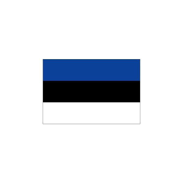 エストニア国旗90×135cm
