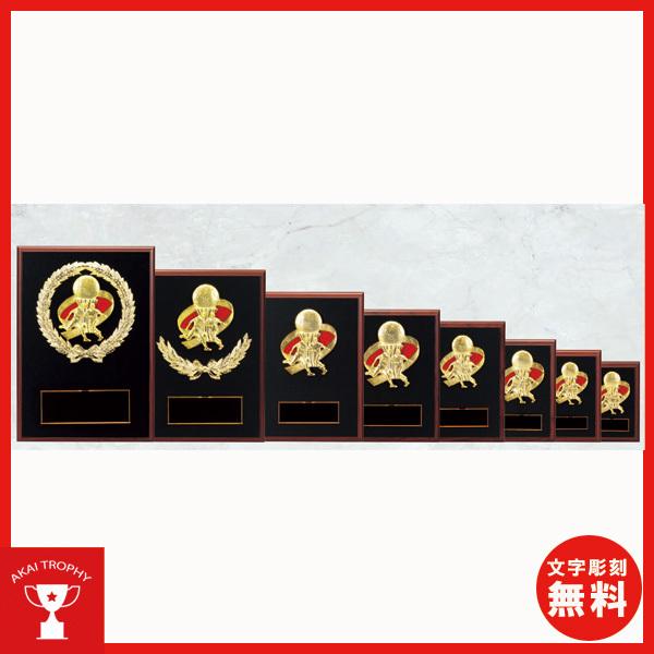 サッカー盾 Amazon | [レーザー彫刻名入れ] GOLD SHACHI 表彰楯 盾 ボール