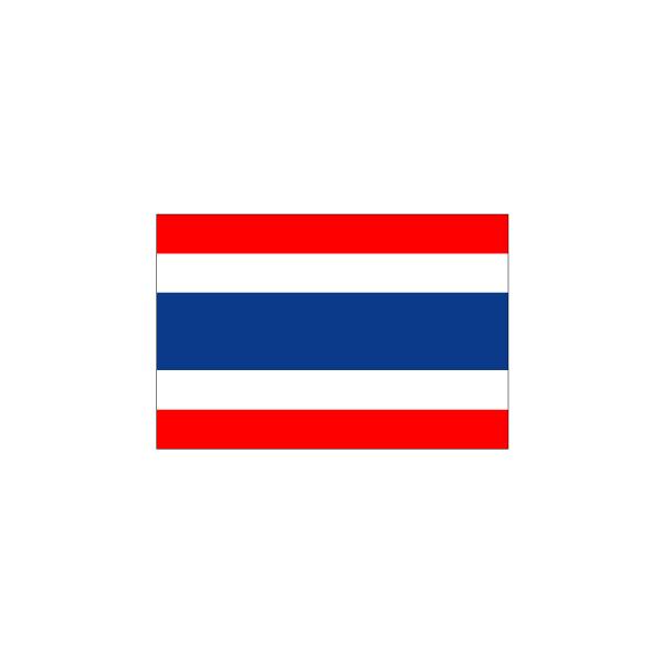 売れ筋がひ 世界の国旗 90 135cm A タイ 万国旗 その他 Labelians Fr