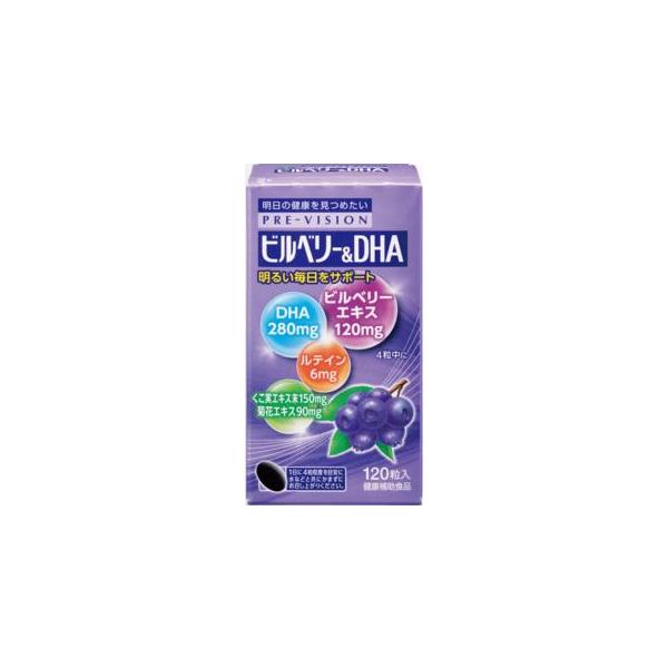 【軽減税率】湧永製薬 プレビジョン ビルベリー&amp;DHA 120粒 ビルベリー DHA含有精製魚油 ルテイン パソコン 読書 運転 サプリメント 健康補助食品