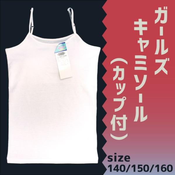 (35-515) (Jbvt) K[YL~\[140/150/160cm[2_܂Ŕz