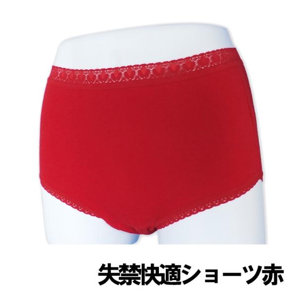 軽失禁 赤パンツ レディース ショーツ 失禁ショーツ メール便対応 3点まで 婦人 失禁パンツ 赤 安心ショーツ 尿漏れ 快適 Buyee Buyee Japanese Proxy Service Buy From Japan Bot Online