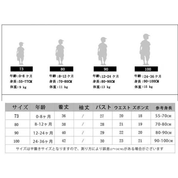 ドレス ベビー服 ロンパース ショートパンツ バッグ 3点セット ベビースーツ 新生児 赤ちゃん 女の子 お姫様 フリル ワンピース 入園式 卒園式 七五三 スカート Prettyfunnyballoons Com