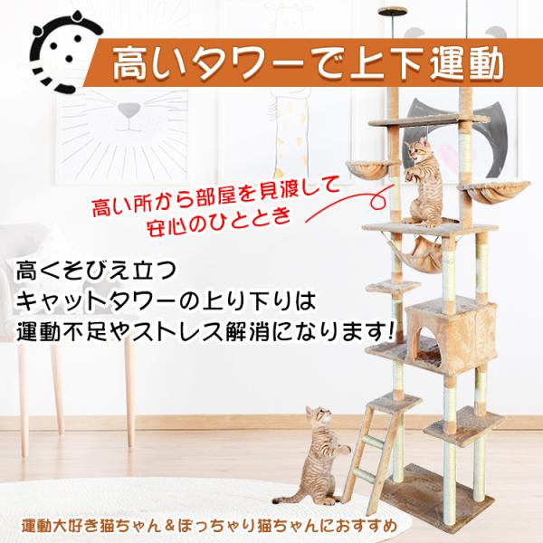 akaneashop_pt054_3