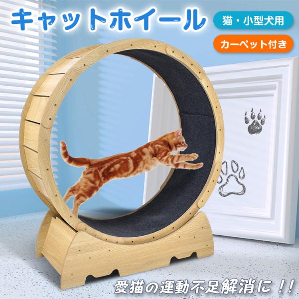 akaneashop_pt071 akaneashop_pt071