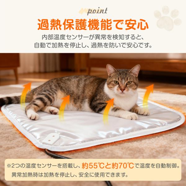 akaneashop_pt078_4_d_20251112173327