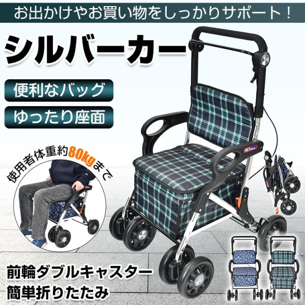 Hill Stone シルバーカー Sg178 美品 - メルカリ
