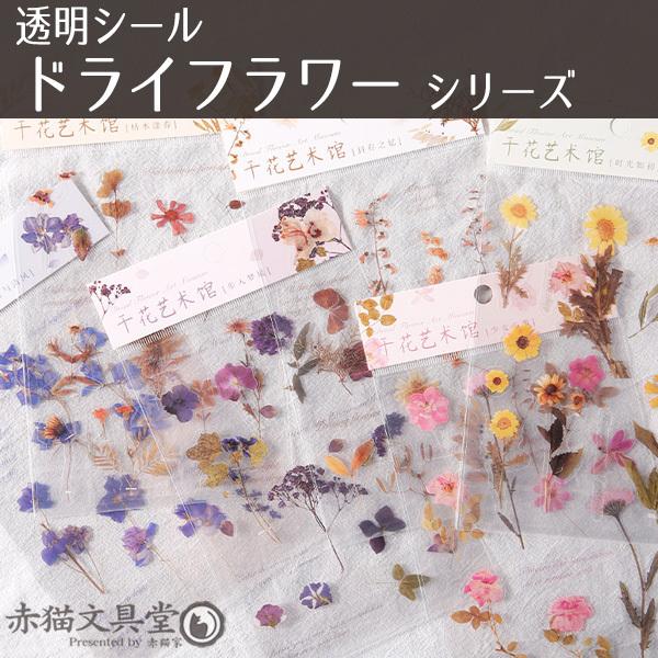 全5種 透明シール「ドライフラワー」0274 1100274 : 赤猫家(シーリング