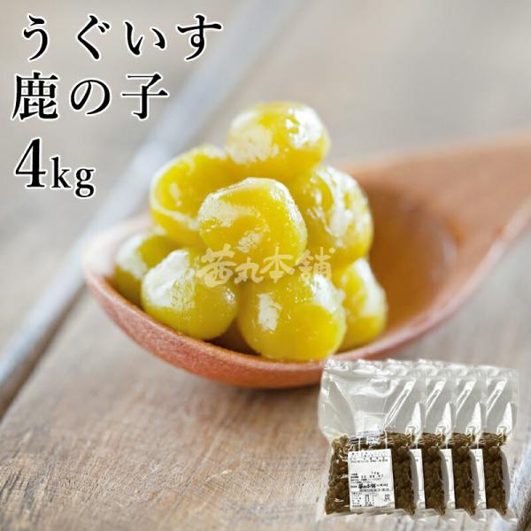 豆商店おまとめ6pcs akanemaru-anko_z07-0705-1004