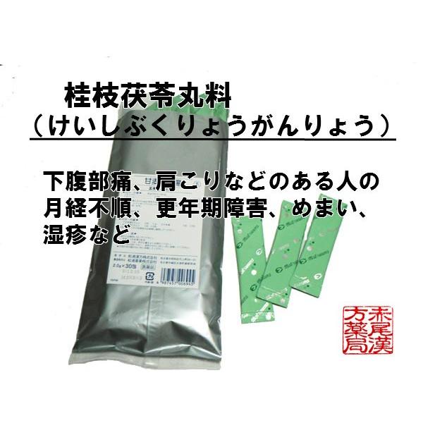 桂枝茯苓丸料ケイシブクリョウガンリョウ エキス細粒６９ ２ ０g ３０包 第２類医薬品 月経不順 月経痛 更年期障害 肩こり 冷えのぼせ Buyee Buyee 日本の通販商品 オークションの代理入札 代理購入