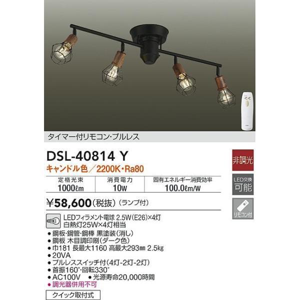 国産原料100% 大光電機 DSL-40814Y LEDシャンデリア スポットライト 4